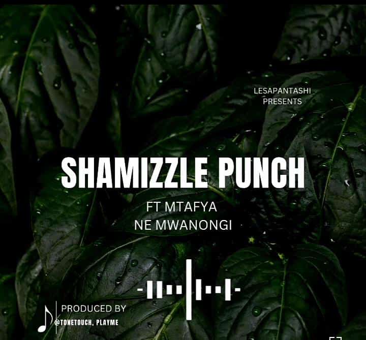Sauti | Shamizzle Punch Ft. Mtafya – Ne Mwanongi