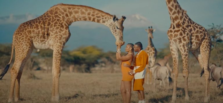 Video | Marioo – Hakuna Matata