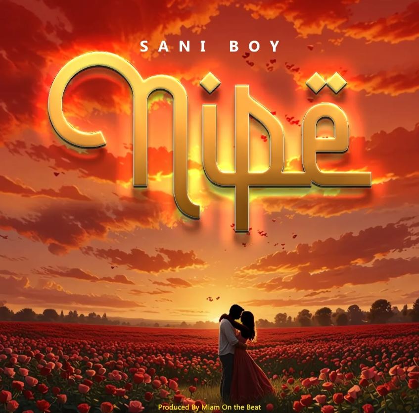 Sauti | Sani Boy – Nipe