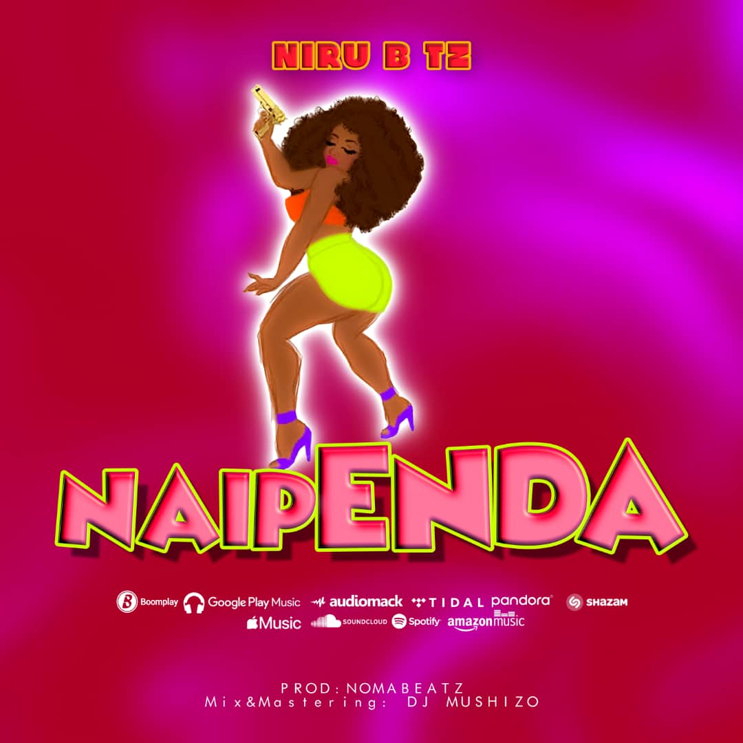 Sauti | Niru B – Naipenda