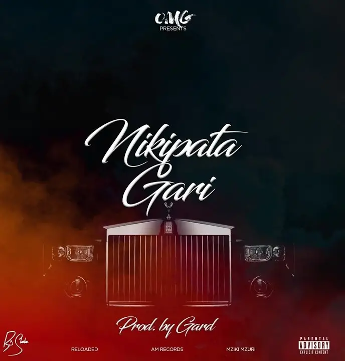 Sauti | OMG – Nikipata Gari