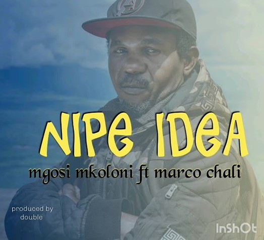 Sauti | Mgosi Mkoloni (Wagosi Wakaya) Ft Marco Chali – Nipe Idea