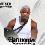 Sauti | Silver Madollar – Harmonize Unanisikia