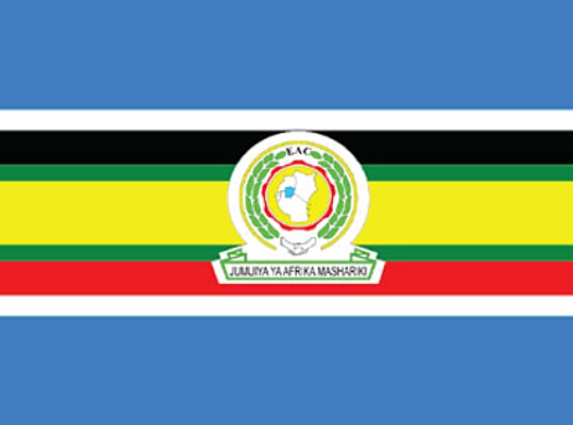 Tanzanian & East African Music Stars: Bios & Latest Hits