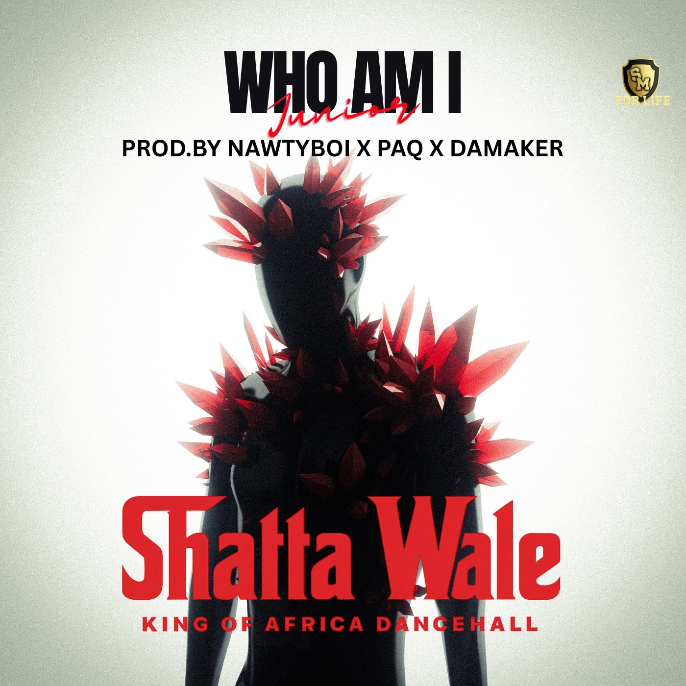 Sauti | Shatta Wale – Who Am I