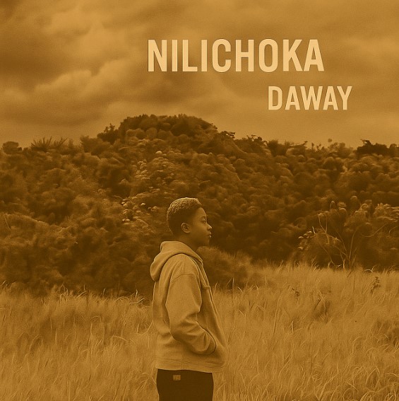 Sauti | Daway – Nilichoka