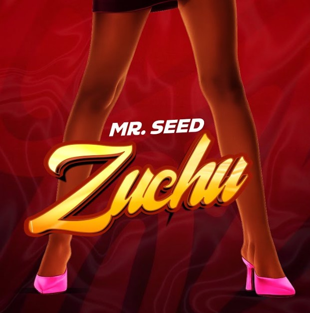 Sauti | Mr Seed – Zuchu