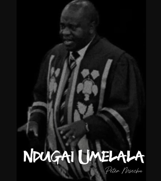 Sauti | Peter Msechu – Ndugai Umelala | Download