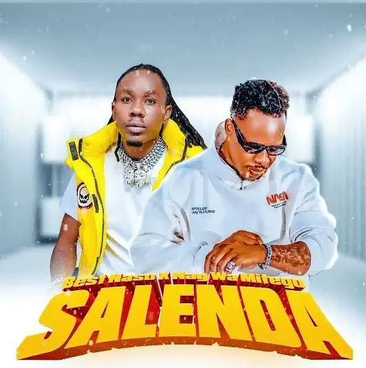 Sauti | Best Naso Ft Nay Wa Mitego Salenda