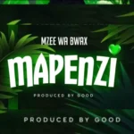 Audio | Mzee wa Bwax – Mapenzi