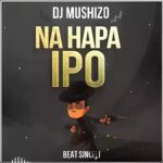 Audio | Dj Mushizo – Na hapa ipo Beat Singeli