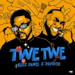 Audio | Kizz Daniel ft Davido – Twe Twe
