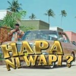Video | Suma Mnazaleti Ft. Chino Kidd & Gerkey – Hapa Ni Wapi