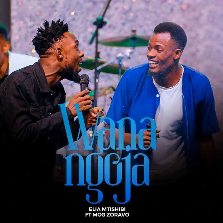 Audio | Elia Mtishibi Ft. Zoravo – Wanangoja
