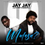 Audio | Jay Jay Ft. Tommy D – Mulesa