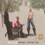 Audio | Spinall Ft. Omah Lay & Tyla – One Call