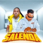 Audio | Best Naso Ft Nay Wa Mitego Salenda