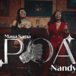 Video | Maua Sama Ft. Nandy – Poa