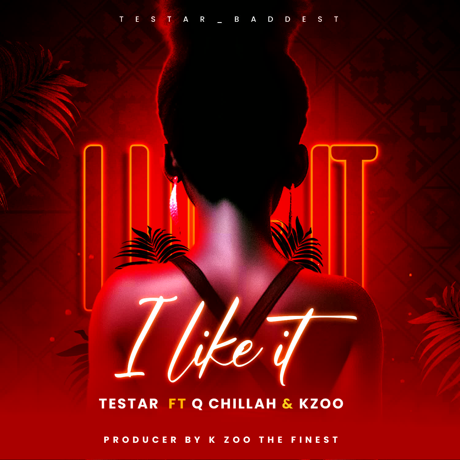 Audio | Testa Ft. Qchilla x Kzoo the finest – I like it
