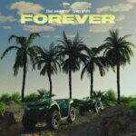 Audio | Tion Wayne Ft. Shallipopi – Forever