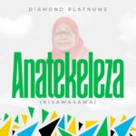 Audio | Diamond Platnumz – Anatekeleza (Kisawasawa)