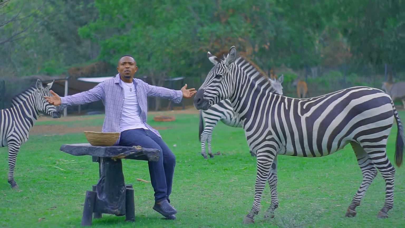 Video | Alex Herman – Nishike Mkono