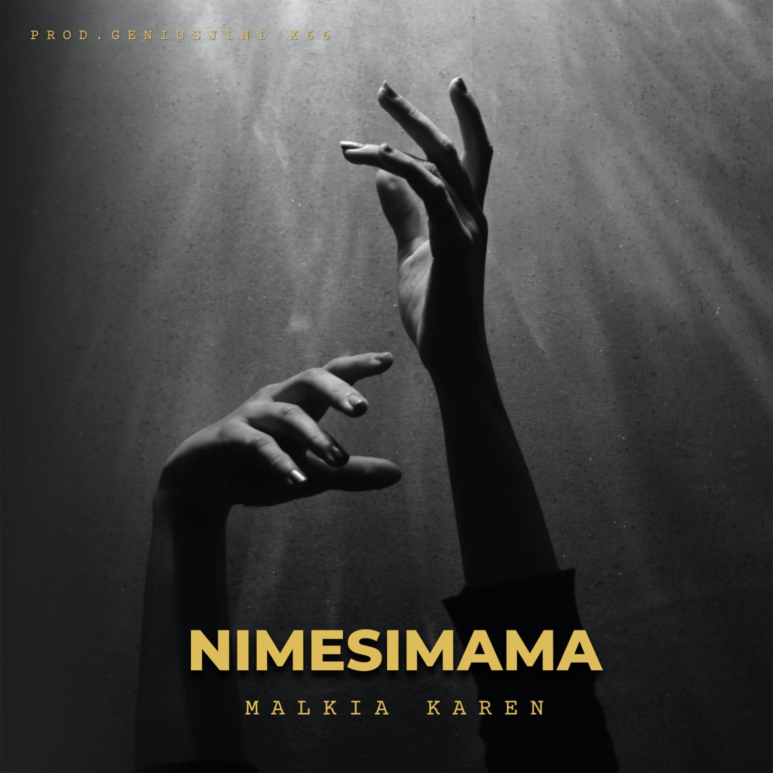 Audio | Malkia Karen – Nimesimama