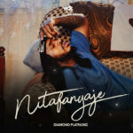 Audio | Diamond Platnumz – Nitafanyaje