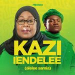 Audio | Mbosso – Kazi Iendelee