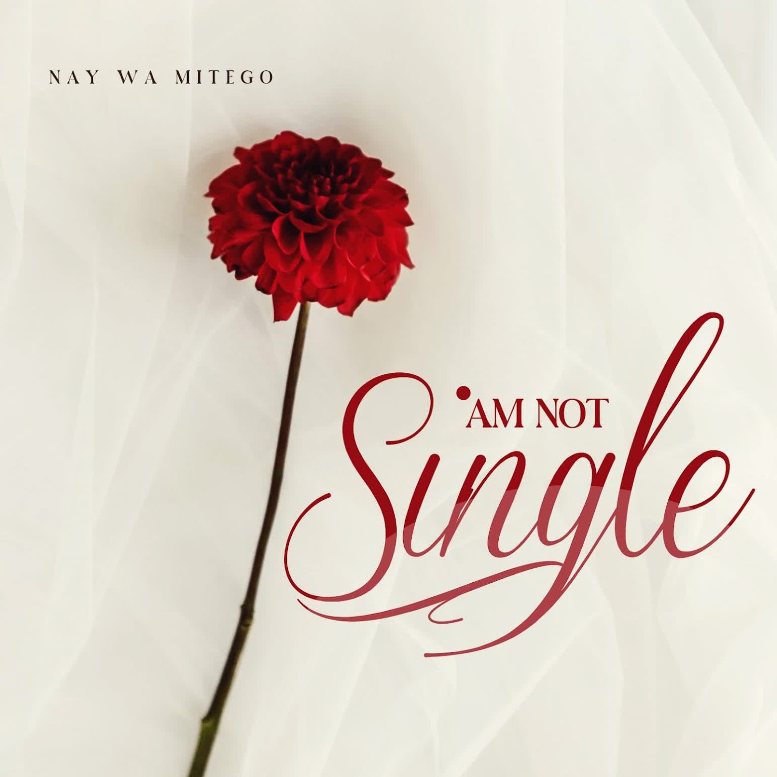 Audio | Nay Wa Mitego – Am Not Single