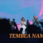 Audio | Papi Clever Ft Dorcas – Tembea Nami