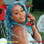 Audio | Gigy Money Ft TID – Nimenasa