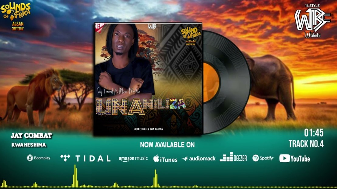 Audio | Jay Combat Ft Mczo Morfan – Unaniliza