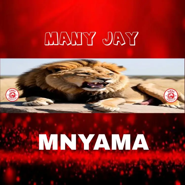 Audio | Many jay – Mnyama