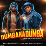 Audio | Fido Vato Ft Dipper Rato – DumbakaDumba