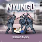 Audio | Msaga Sumu – Nyungu