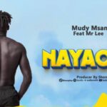 Audio | Mudy Msanii Ft Mr Lee – Nayaona