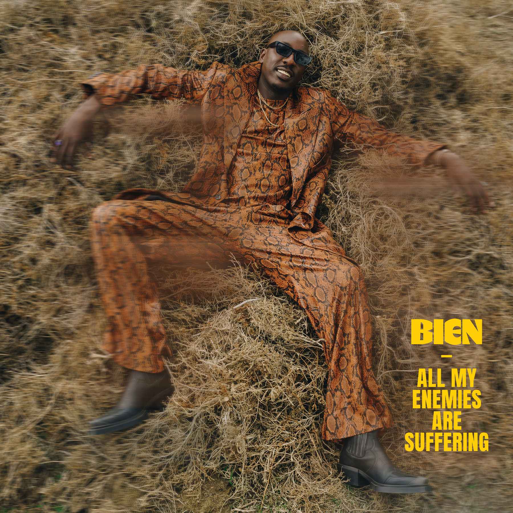 Audio | Bien – All My Enemies Are Suffering