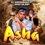 Audio | Dj Kidogodogo Ft Dogo Sajent – Asha