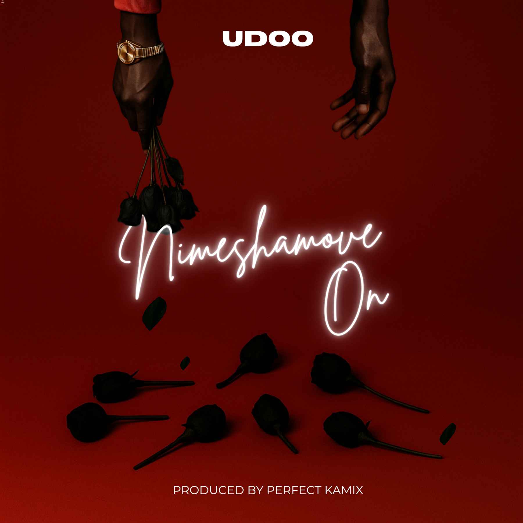 Audio | Udoo – Nimeshamove On