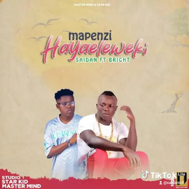 Audio | Saidan Ft Bright – Mapenzi Hayaeleweki
