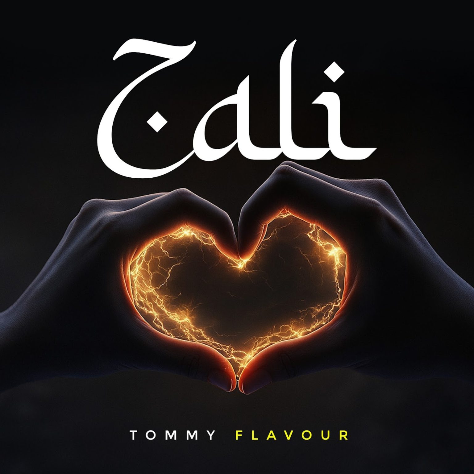 Audio | Tommy Flavour – Zali